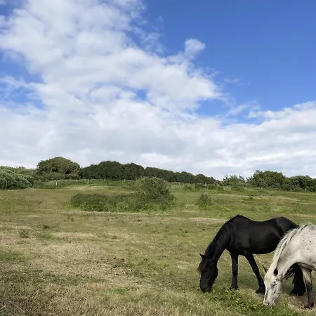بيت للعطل Les De La Courtille *